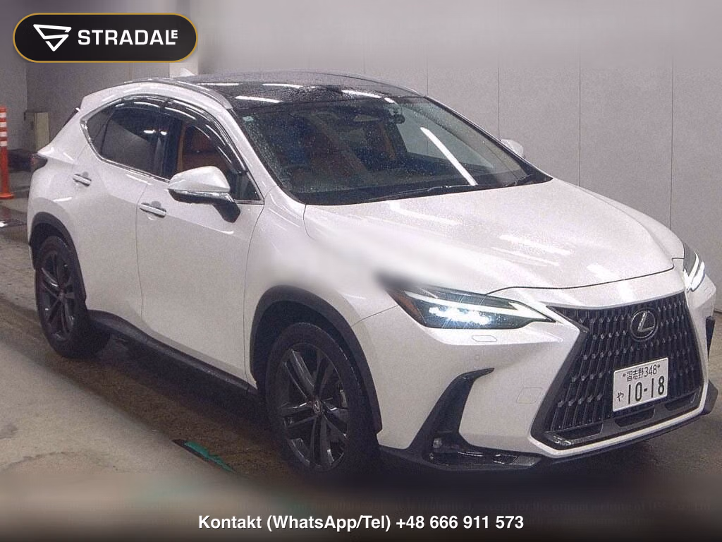 LEXUS NX NX250 VERSION L, miniaturka 2