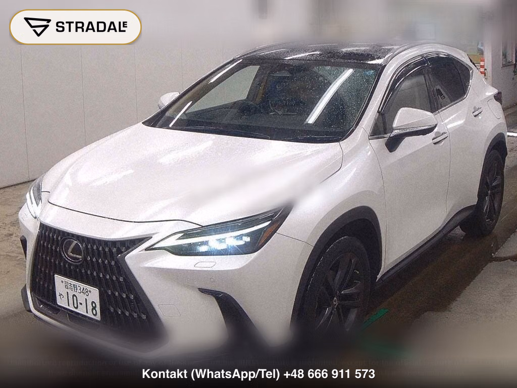 LEXUS NX NX250 VERSION L, miniaturka 5