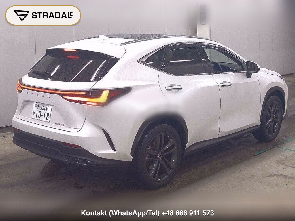 LEXUS NX NX250 VERSION L, miniaturka 6