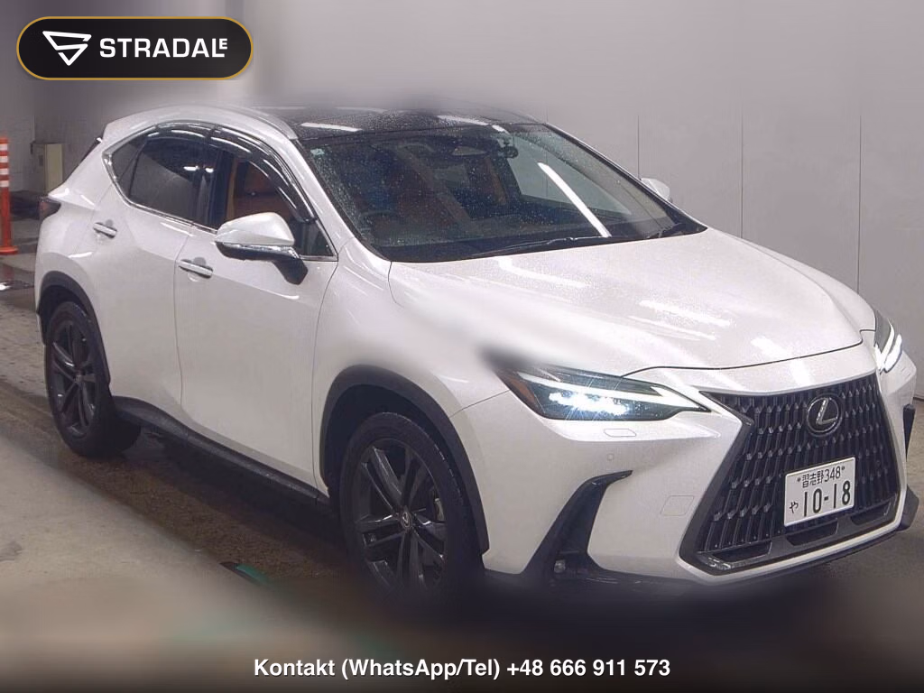 LEXUS NX NX250 VERSION L 2023, aukcja z Japonii, zdjęcie 1