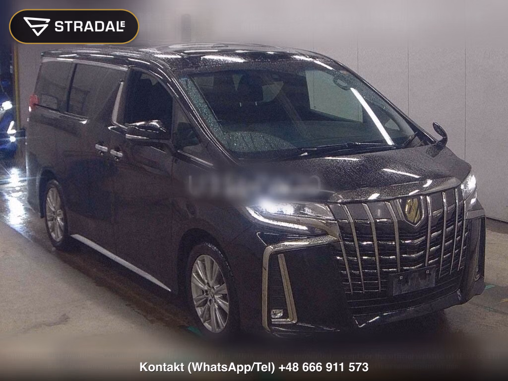 TOYOTA ALPHARD 2.5S TYPE GOLD, miniaturka 2