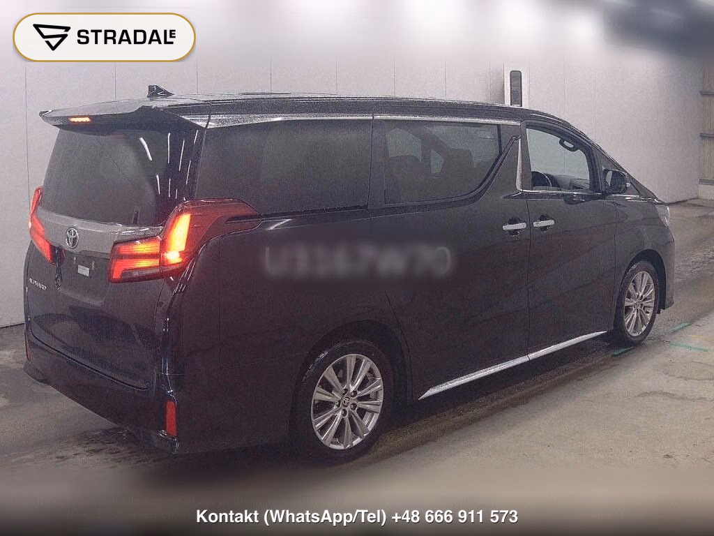 TOYOTA ALPHARD 2.5S TYPE GOLD, miniaturka 6