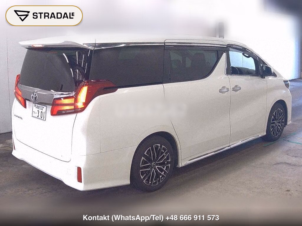 TOYOTA ALPHARD 2.5S TYPE GOLD, miniaturka 6