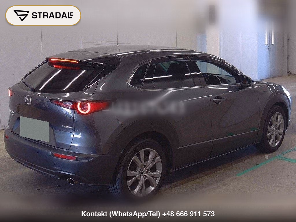 MAZDA CX-30 4WD XD PROACTIVE TOURING SELECTION, miniaturka 6