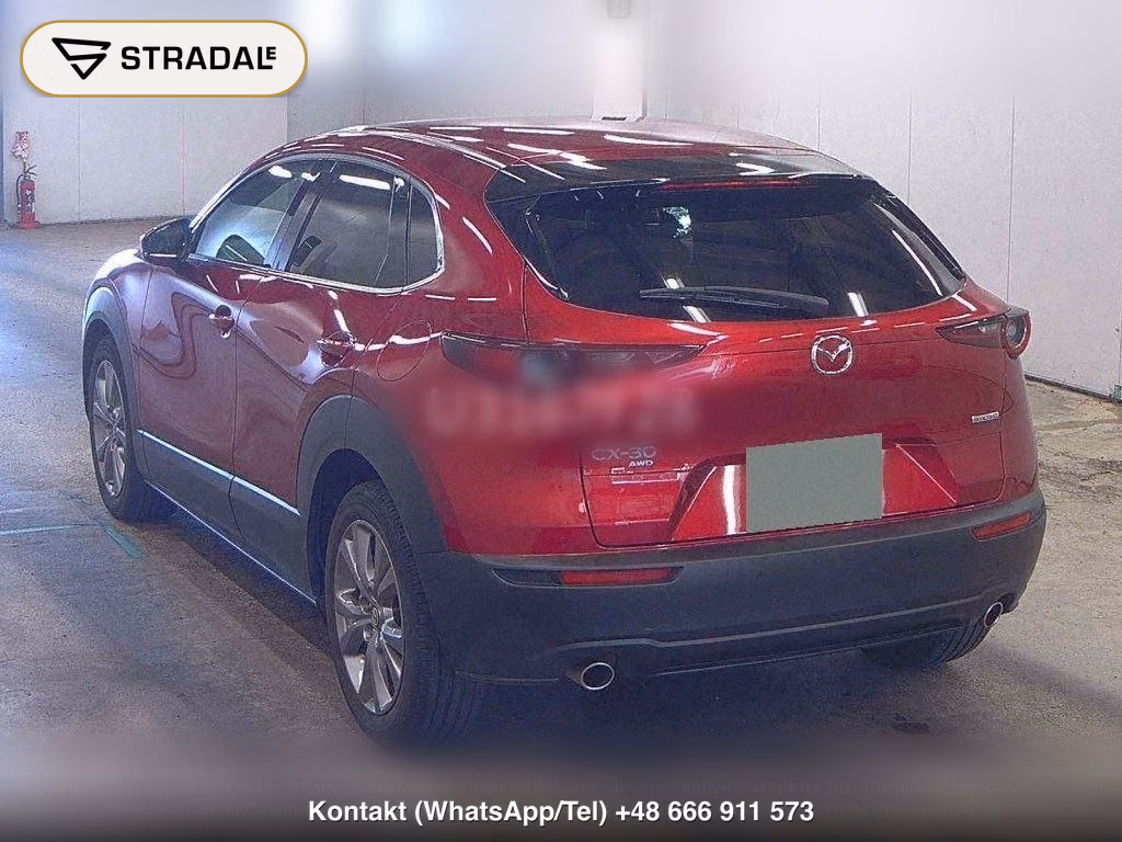 MAZDA CX-30 4WD 20S PROACTIVE TOURING SELECTION, miniaturka 3
