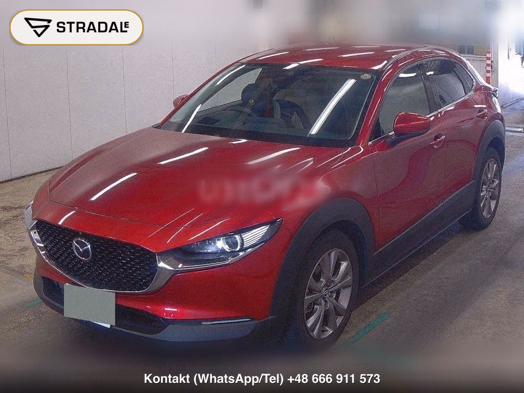 MAZDA CX-30 4WD 20S PROACTIVE TOURING SELECTION, miniaturka 5