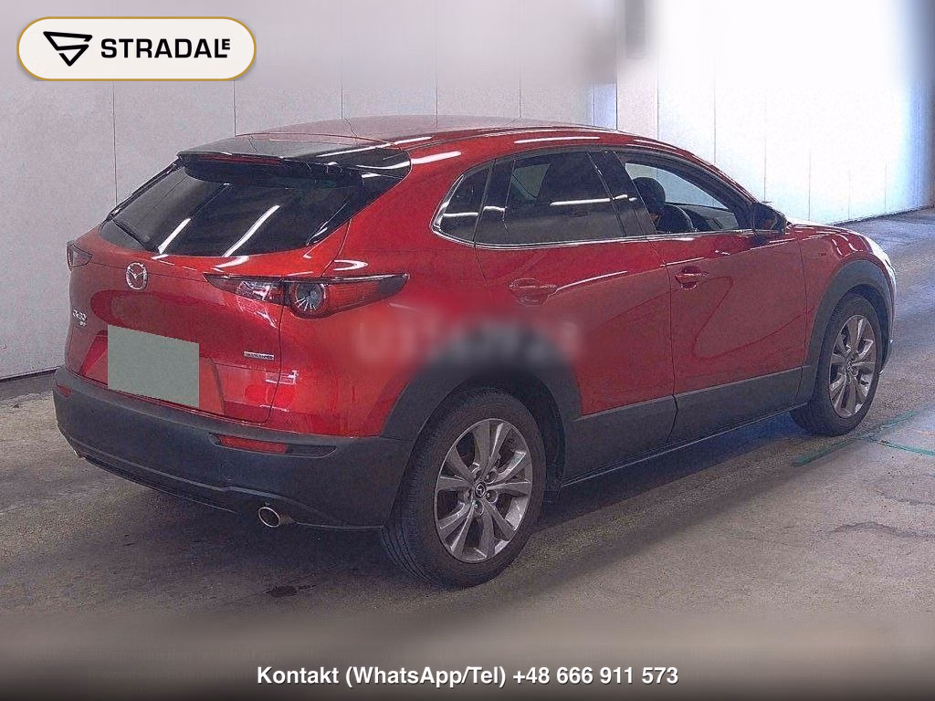 MAZDA CX-30 4WD 20S PROACTIVE TOURING SELECTION, miniaturka 6