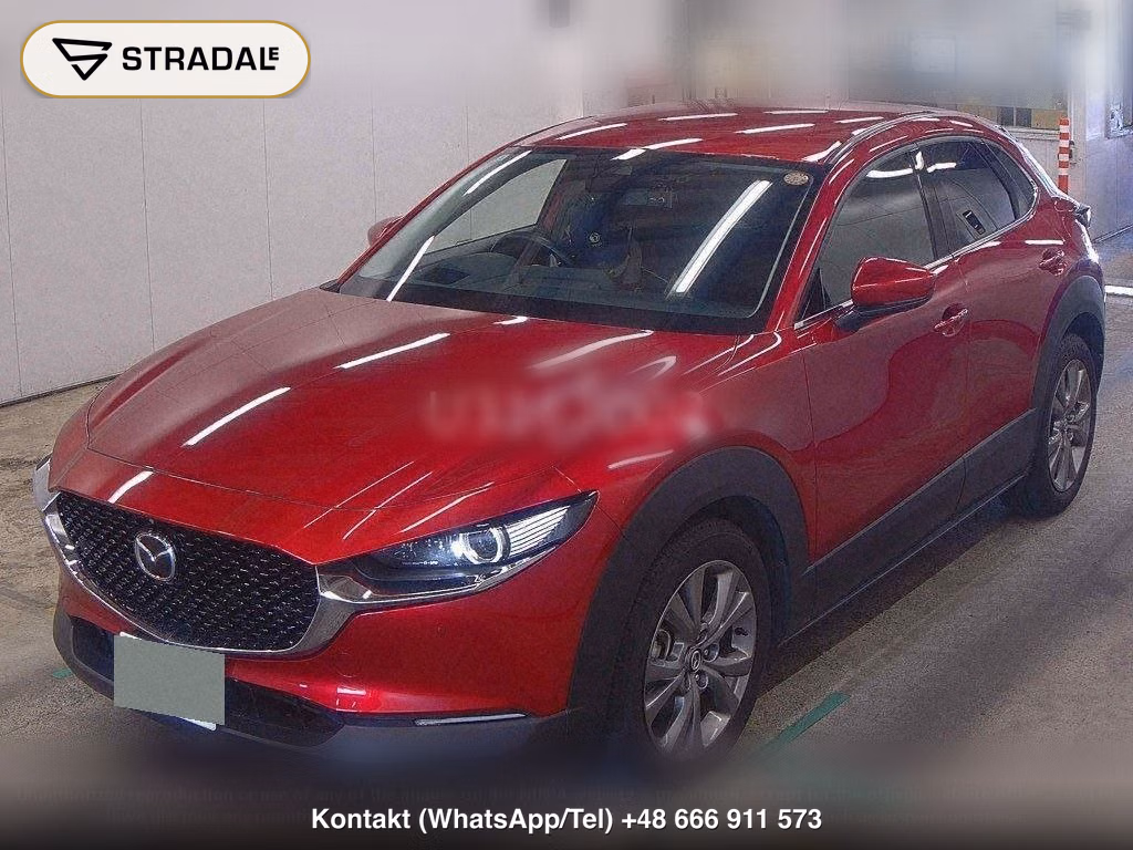 MAZDA CX-30 20S PROACTIVE TOURING SELECTION, miniaturka 5