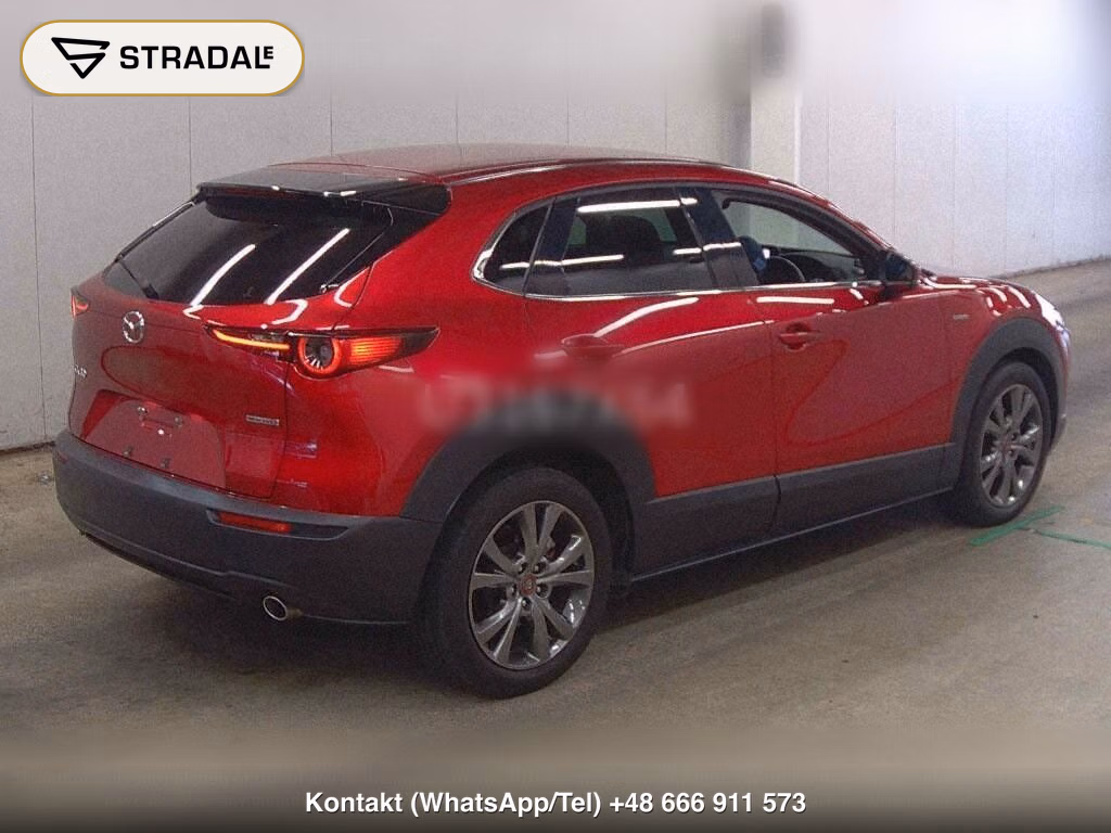 MAZDA CX-30 XD 100TH ANNIVERSARY SPECIAL EDITION 202, miniaturka 6