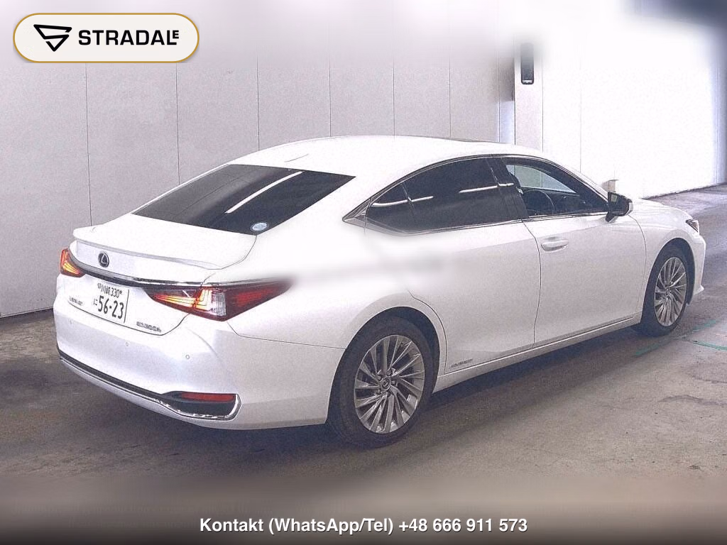 LEXUS ES ES300H VERSION L, miniaturka 6