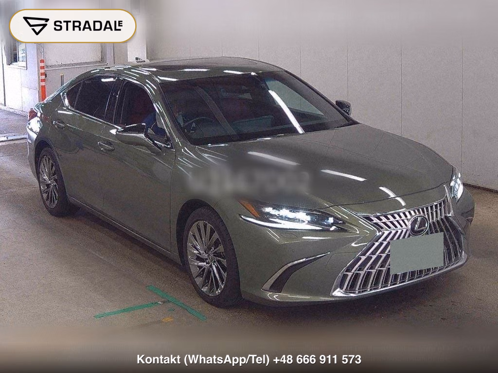 LEXUS ES ES300H GRACEFUL ESCORT, miniaturka 2