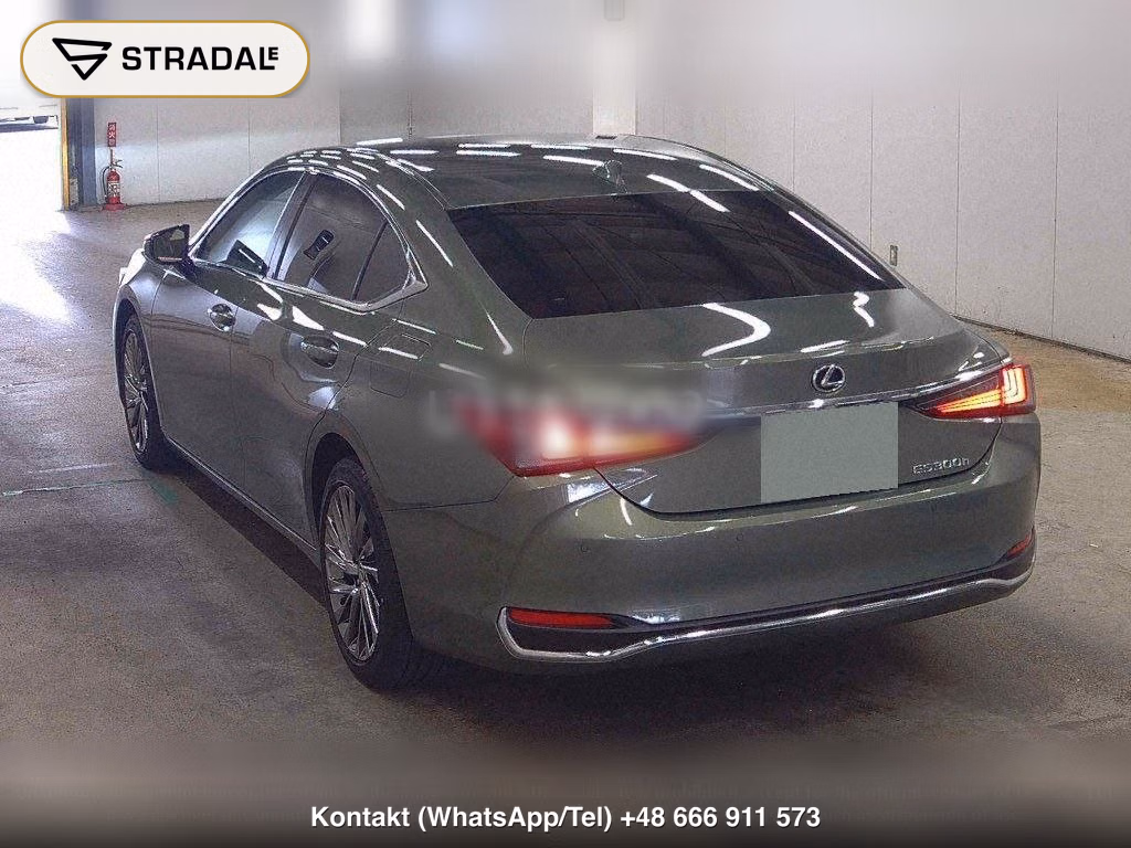 LEXUS ES ES300H GRACEFUL ESCORT, miniaturka 3