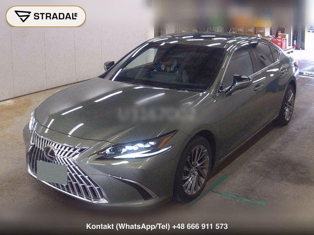 LEXUS ES ES300H GRACEFUL ESCORT, miniaturka 5