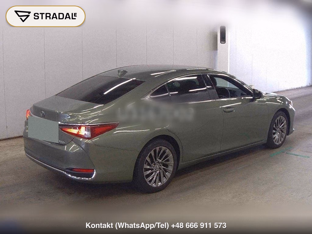 LEXUS ES ES300H GRACEFUL ESCORT, miniaturka 6
