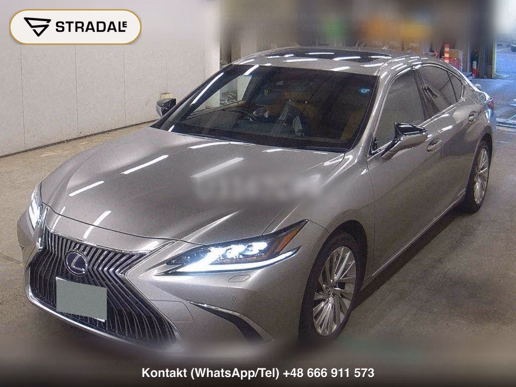 LEXUS ES ES300H VERSION L, miniaturka 5