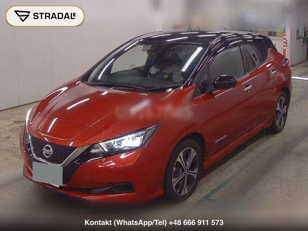 NISSAN LEAF E+ X, miniaturka 5
