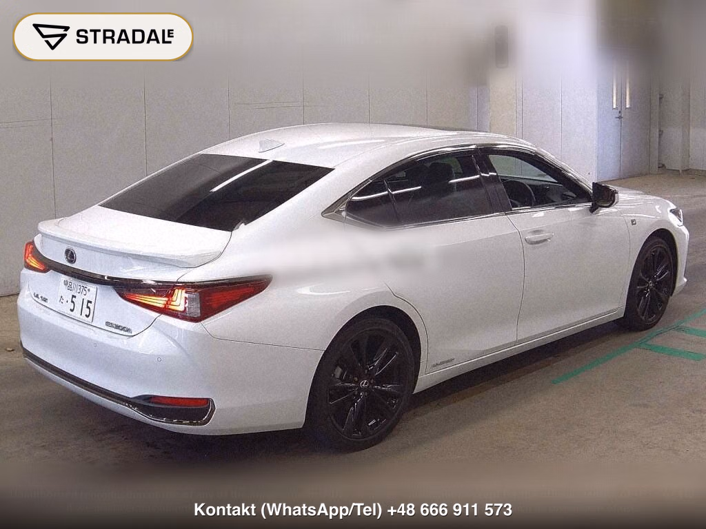 LEXUS ES ES300H F SPORT, miniaturka 6
