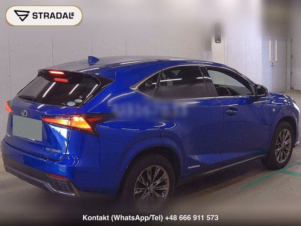 LEXUS NX NX300H SPECIAL EDITION COOL AND BRIGHT, miniaturka 6