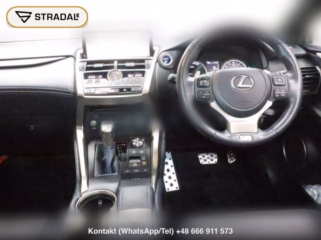 LEXUS NX NX300H SPECIAL EDITION COOL AND BRIGHT, miniaturka 10