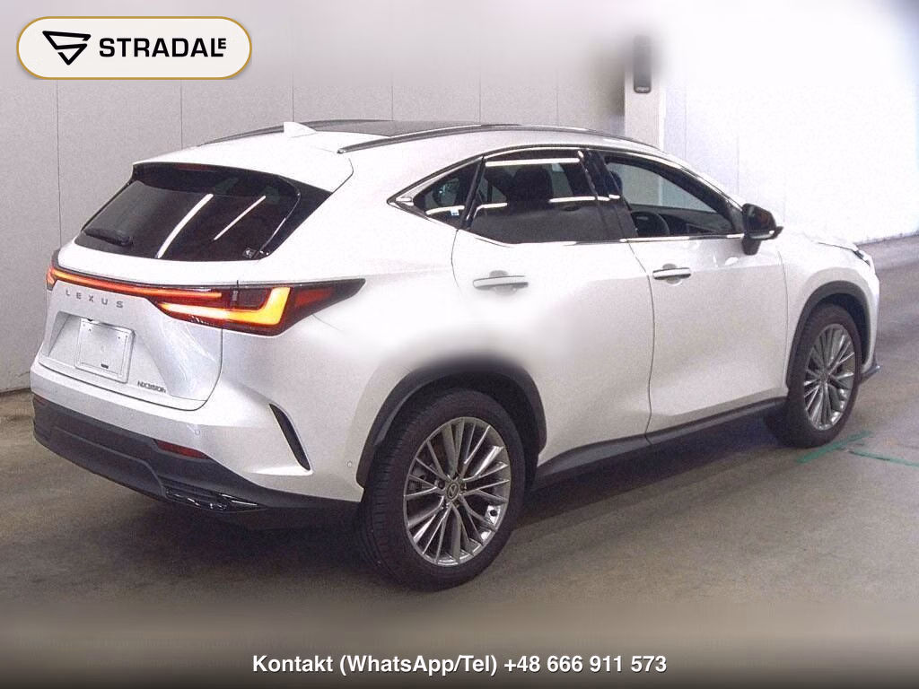 LEXUS NX NX350H VERSION L, miniaturka 6