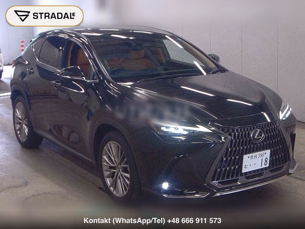 LEXUS NX NX350H VERSION L, miniaturka 2