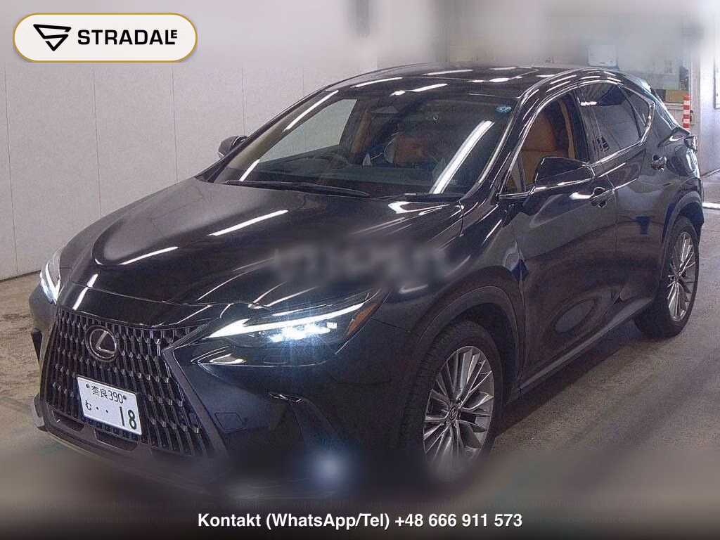 LEXUS NX NX350H VERSION L, miniaturka 5