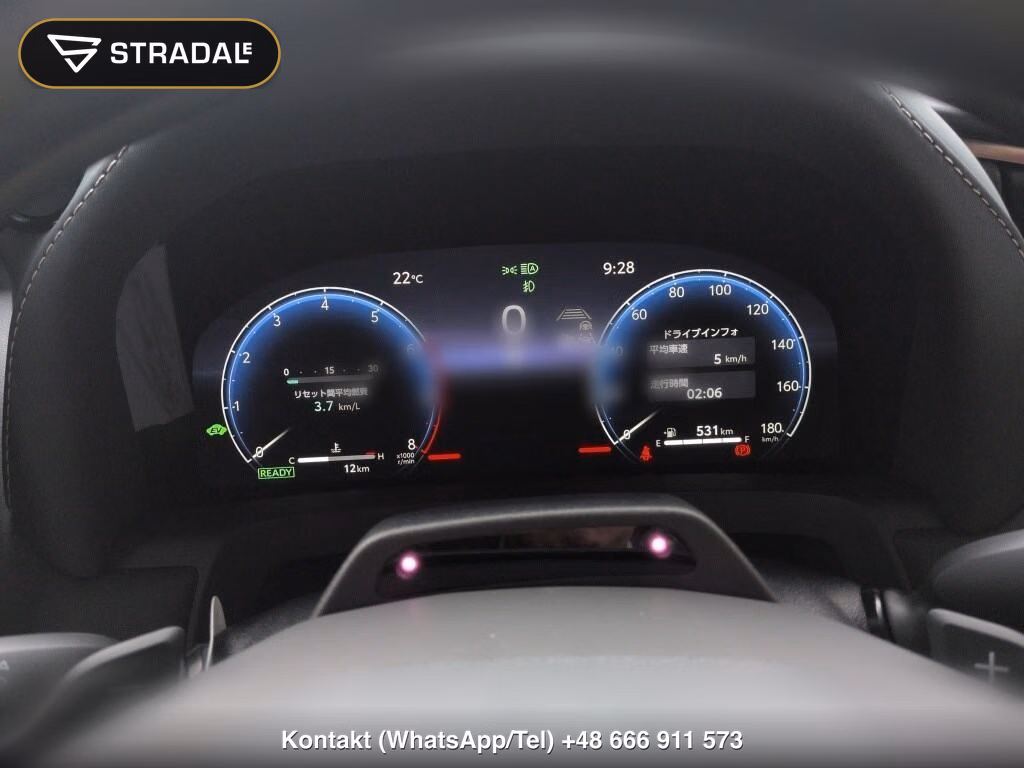 TOYOTA ALPHARD HYBRID 4WD Z, miniaturka 7