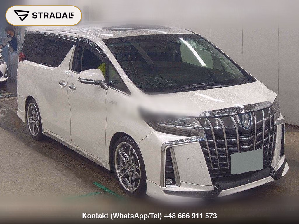 TOYOTA ALPHARD HYBRID 4WD SR C PACKAGE, miniaturka 2