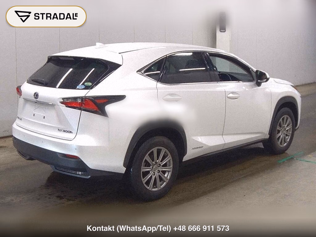 LEXUS NX NX300H, miniaturka 6