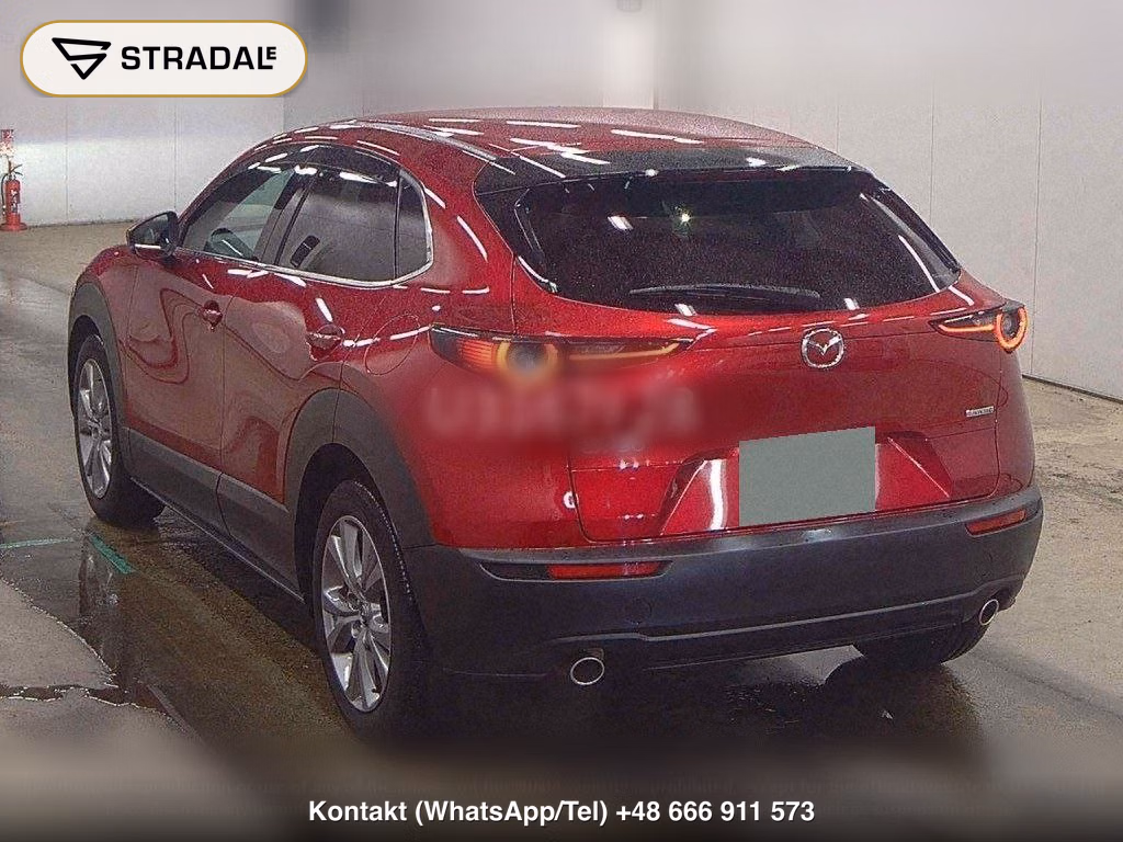 MAZDA CX-30 20S PROACTIVE TOURING SELECTION, miniaturka 3