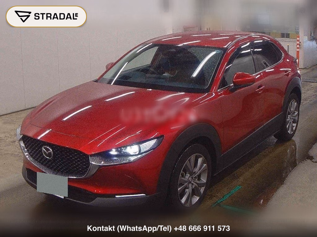 MAZDA CX-30 20S PROACTIVE TOURING SELECTION, miniaturka 5