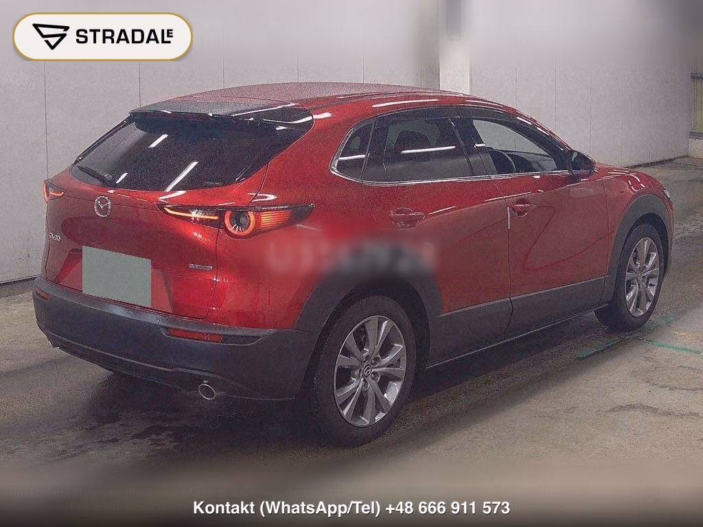 MAZDA CX-30 20S PROACTIVE TOURING SELECTION, miniaturka 6