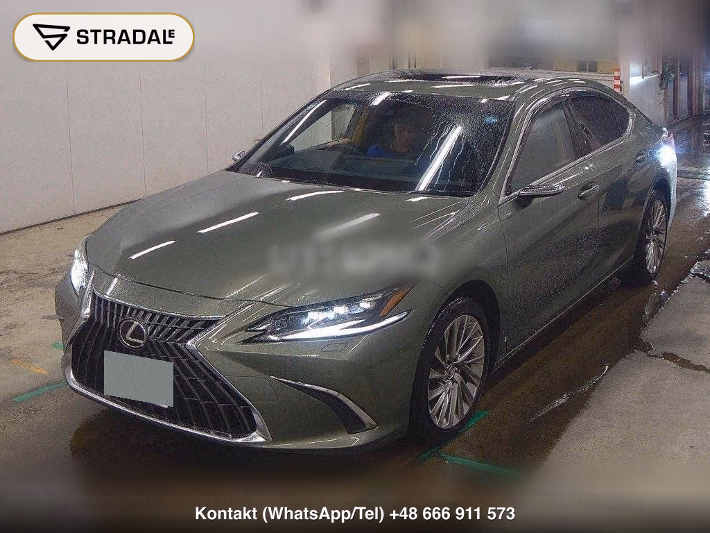 LEXUS ES ES300H VERSION L, miniaturka 5