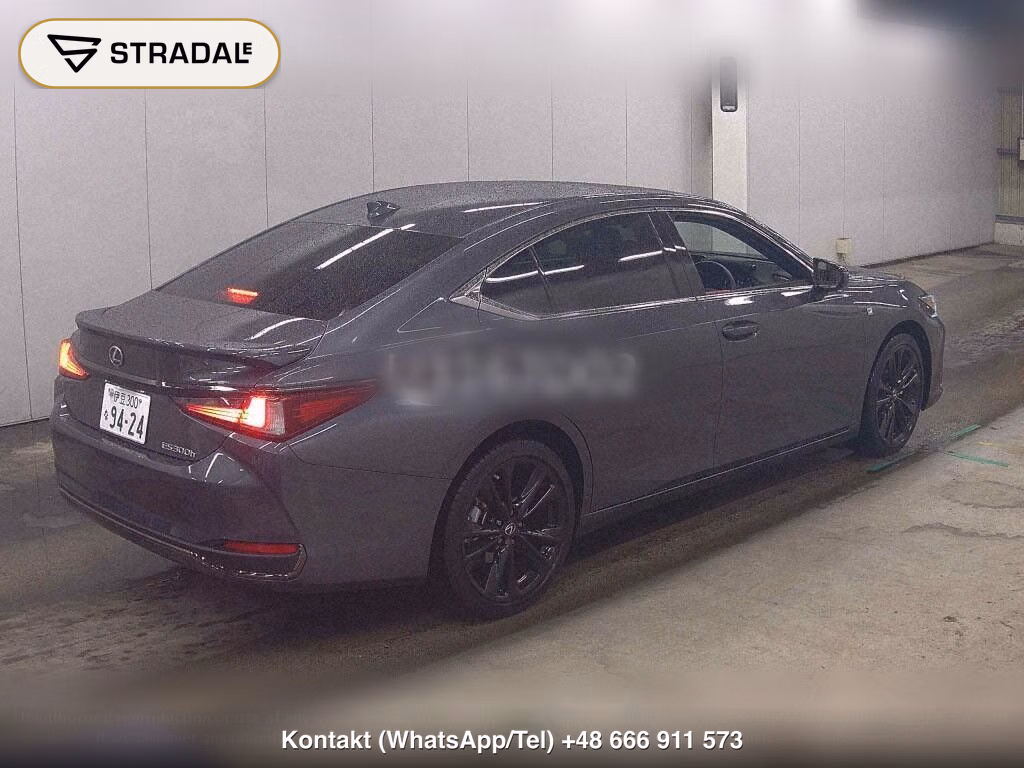 LEXUS ES ES300H F SPORT, miniaturka 6