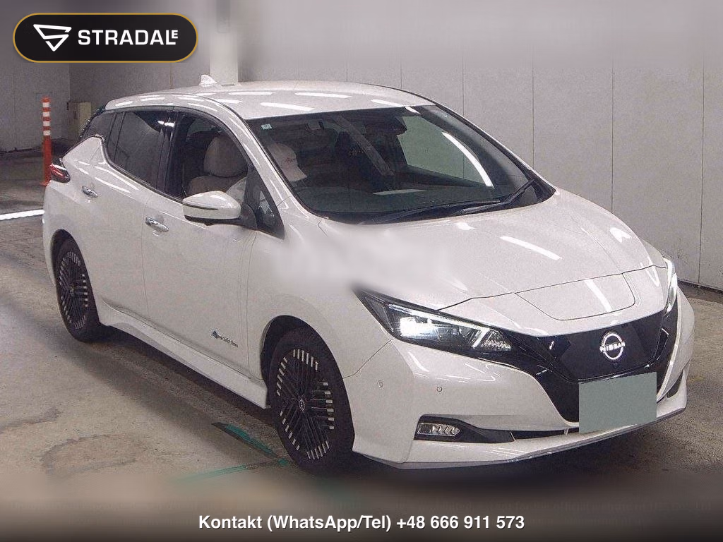 NISSAN LEAF E+ G, miniaturka 2