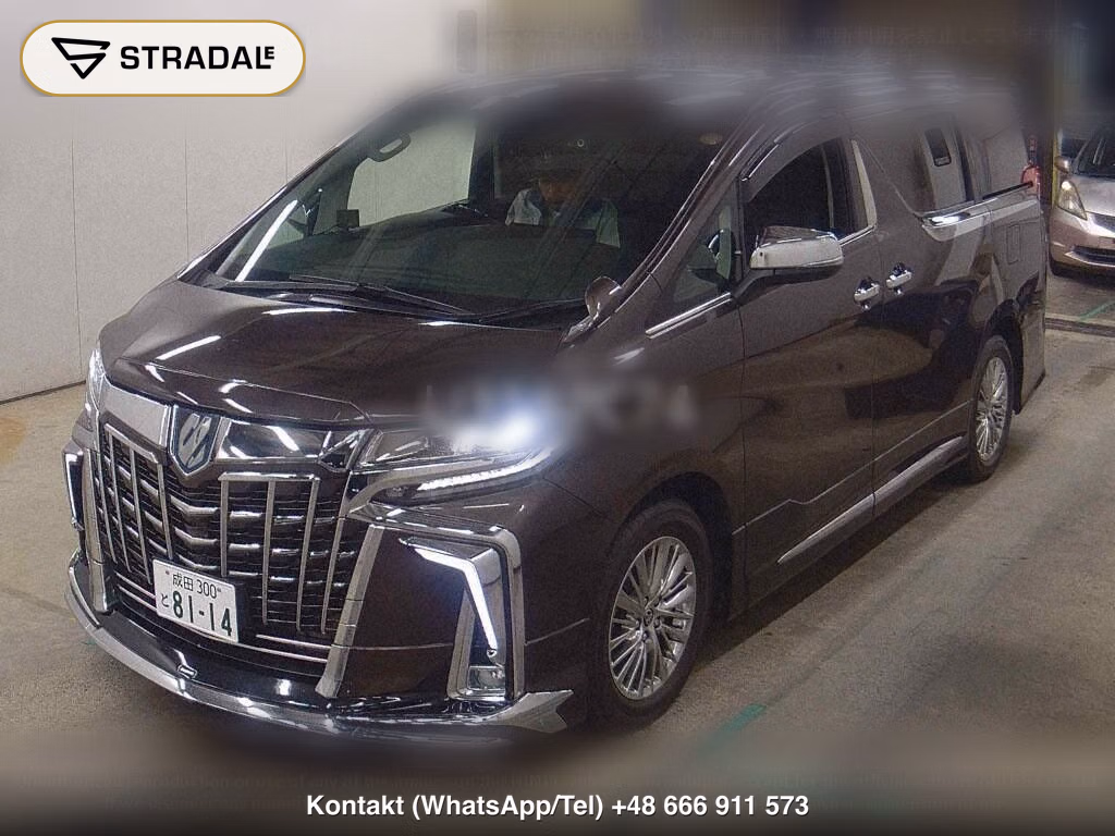 TOYOTA ALPHARD HYBRID 4WD SR C PACKAGE, miniaturka 5