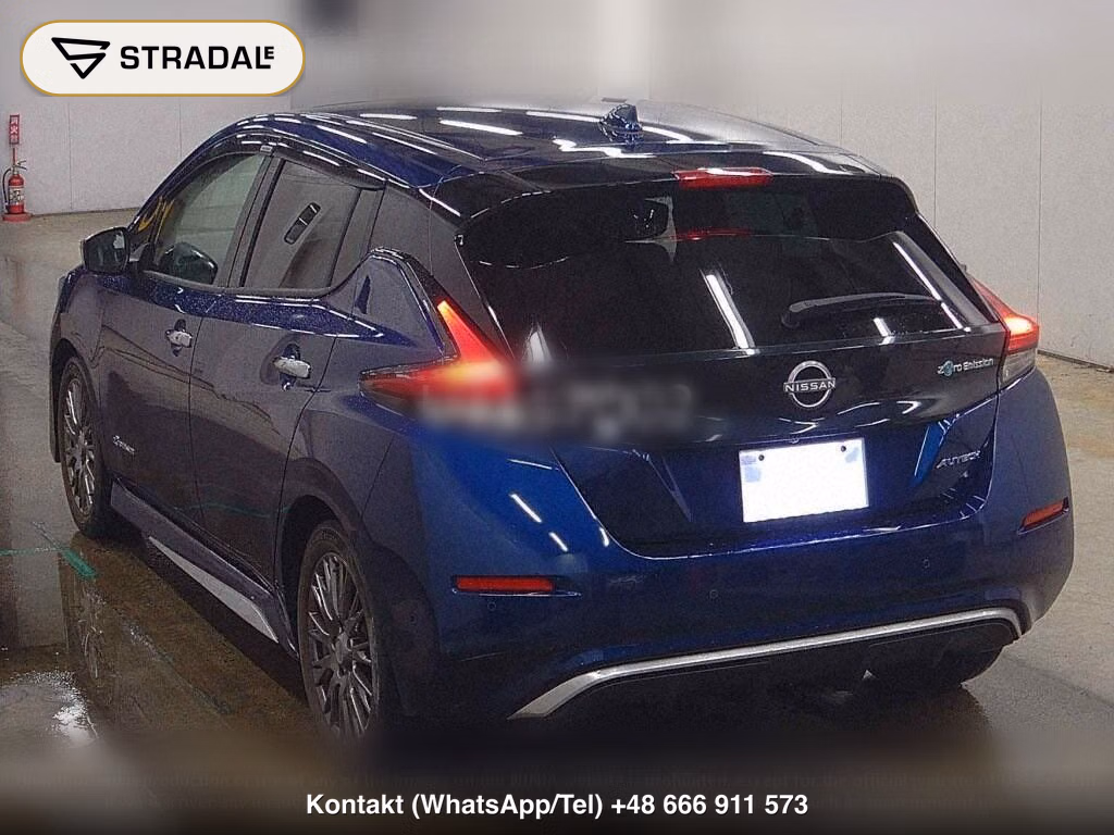 NISSAN LEAF AUTECH, miniaturka 3