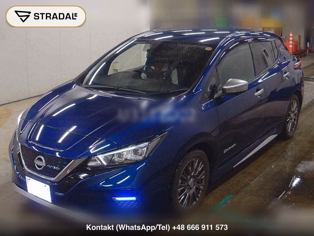 NISSAN LEAF AUTECH, miniaturka 5