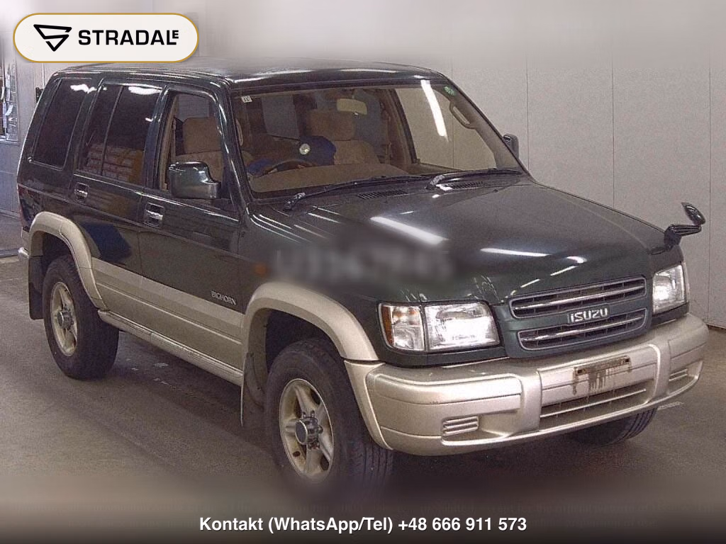 ISUZU BIGHORN 5D 4WD PLAISIR LONG, miniaturka 2