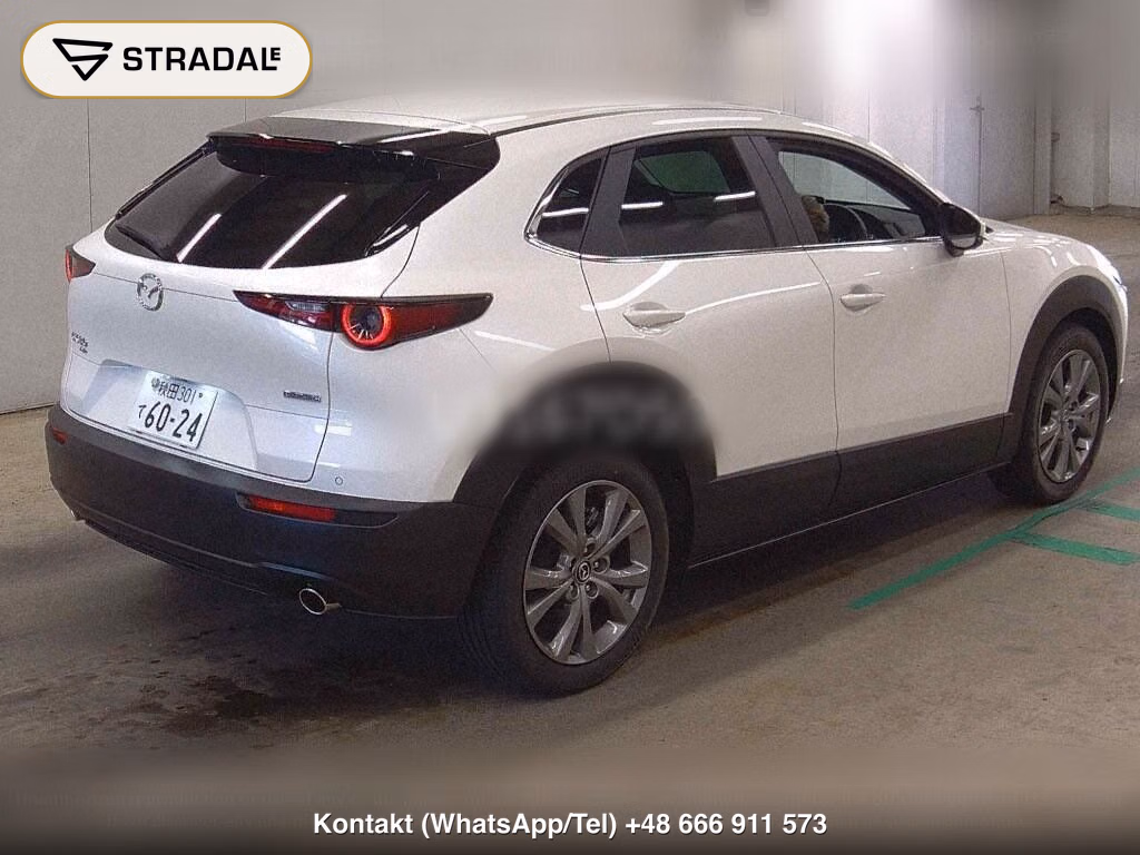 MAZDA CX-30 4WD 20S I SELECTION, miniaturka 6