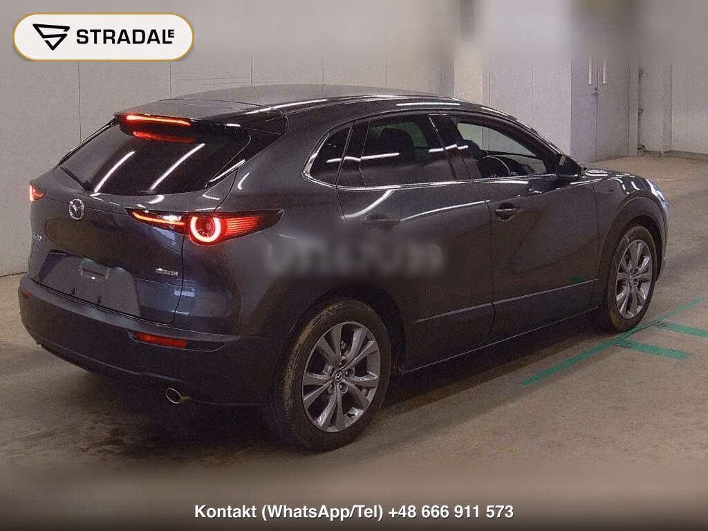 MAZDA CX-30 20S L PACKAGE, miniaturka 6