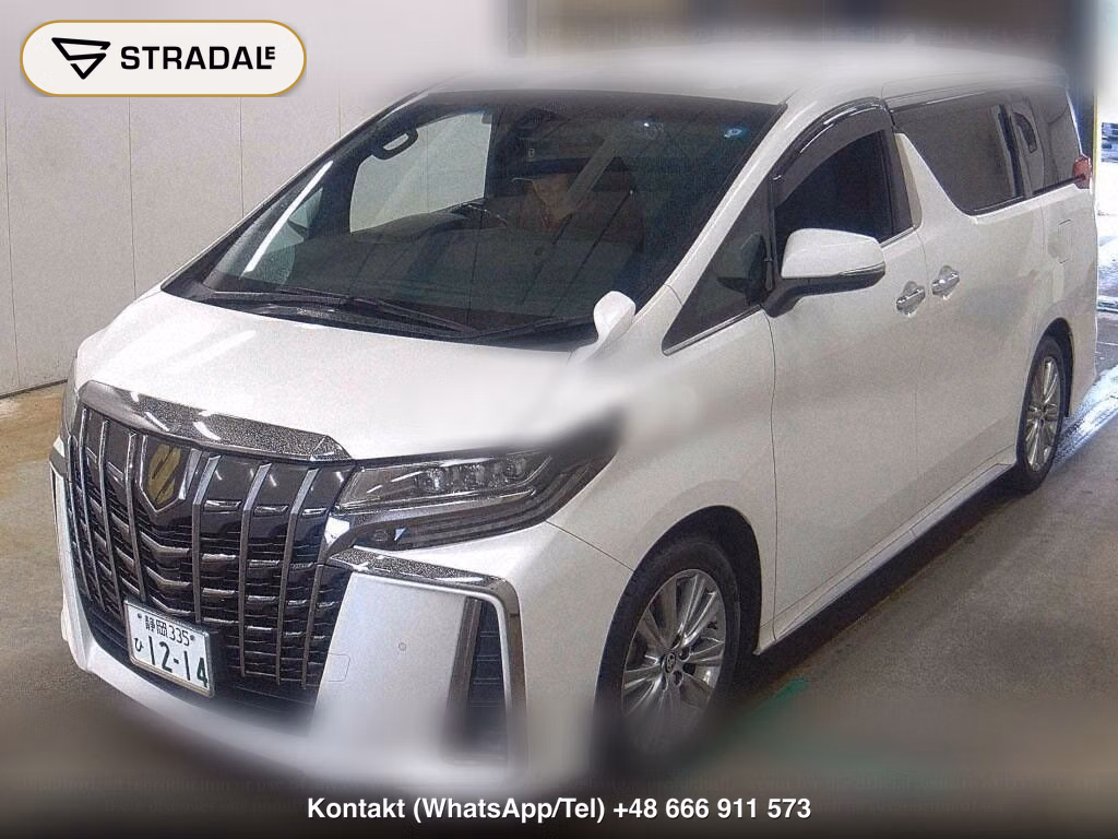 TOYOTA ALPHARD 2.5S TYPE GOLD, miniaturka 5