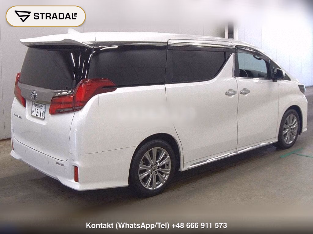TOYOTA ALPHARD 2.5S TYPE GOLD, miniaturka 6