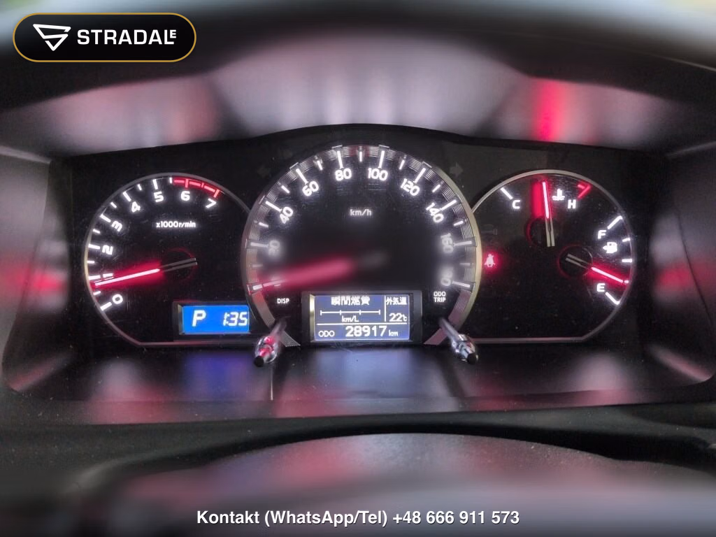 TOYOTA HIACE WAGON 4D GRAND CABIN, miniaturka 7