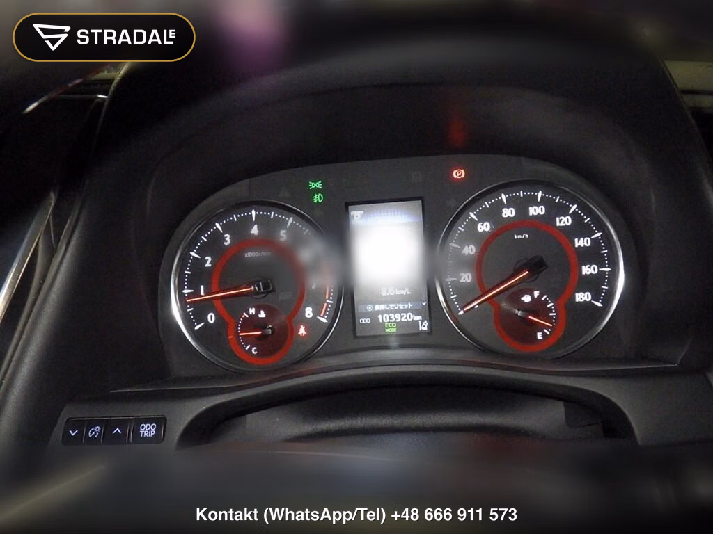 TOYOTA ALPHARD 2.5S C PACKAGE, miniaturka 7