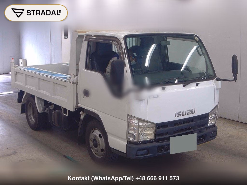 ISUZU ELF TRUCK 2D OTHERS 2008, aukcja z Japonii, zdjęcie 1