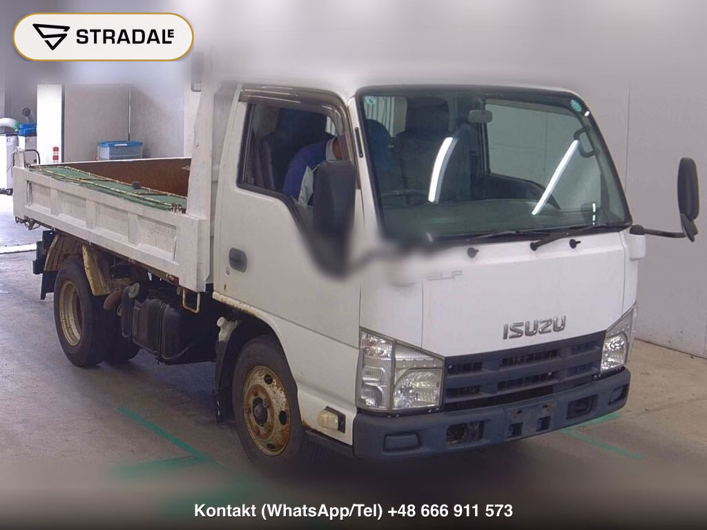 ISUZU ELF TRUCK 2D OTHERS 2010, aukcja z Japonii, zdjęcie 1