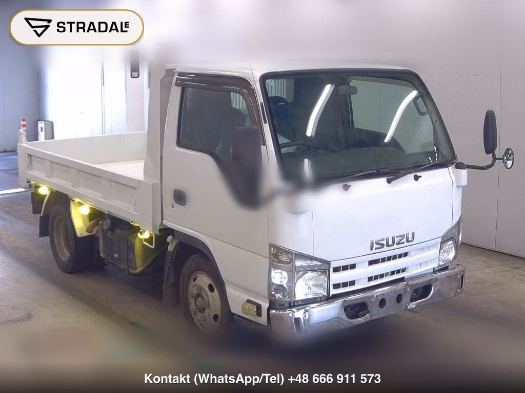 ISUZU ELF TRUCK 2D OTHERS 2010, aukcja z Japonii, zdjęcie 1
