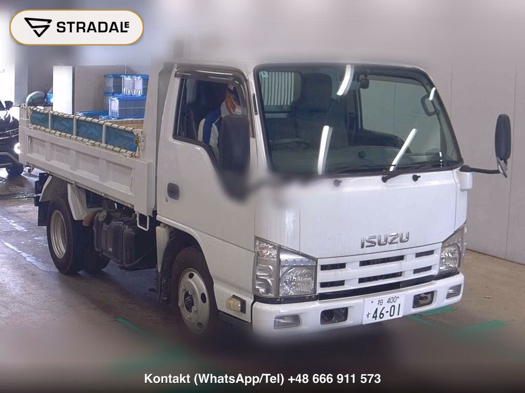ISUZU ELF TRUCK 2D 2013, aukcja z Japonii, zdjęcie 1