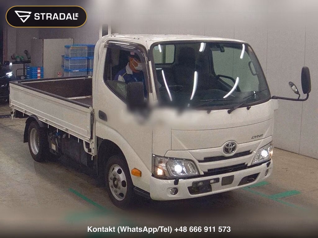 TOYOTA DYNA TRUCK 2D 4WD, miniaturka 2